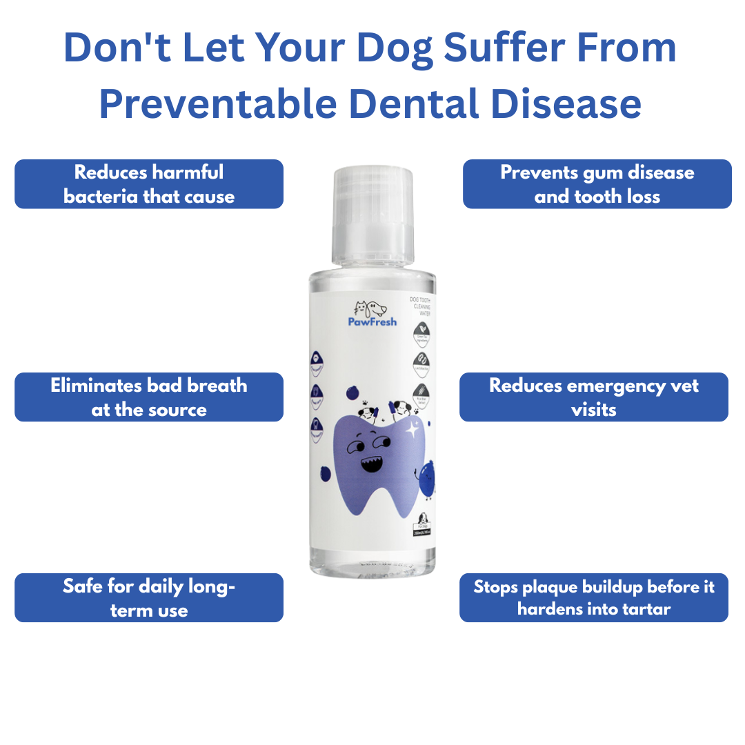 PawFresh Water Additive